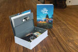 ABUS Book Safe