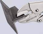 KNIPEX KNIPEX 41 04 250 EAN Pince-étau zinguée 250 mm