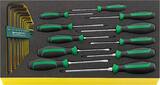 Stahlwille DRALL+ set of screwdrivers i.TCS inlay TCS WT 4650-4665-1 20pcs