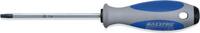 ALARM - SHOP ALARM TORX screwdriver T15 L.80mm, T15, L1 80 mm -