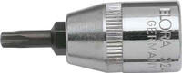 ELORA - SHOP ELORA Screwdriver Socket 3/8, TORX®, ELORA-3244-TTX 50 -