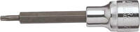 ELORA - SHOP ELORA Screwdriver Socket 1/2 long, TORX®, ELORA-3245-TXL 30 -