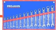 PROJAHN - SHOP PROJAHN GearTech combination ratchet wrench set flexible 14pcs 6 - 7 - 8 - 9 - 10 - 11 - 12 - 13 - 14 - 15 - 16 - 17 - 18 - 19 -