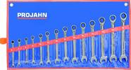 PROJAHN - SHOP PROJAHN GearTech combination ratchet wrench set 14pcs 6 - 7 - 8 - 9 - 10 - 11 - 12 - 13 - 14 - 15 - 16 - 17 - 18 - 19 mm -