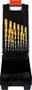PROJAHN - SHOP PROJAHN Drill bit set HSS-G TiN 1-13 mm 15pcs plastic case -