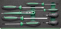 STAHLWILLE - SHOP Stahlwille TCS inlay TCS 12 821/8 8pcs -